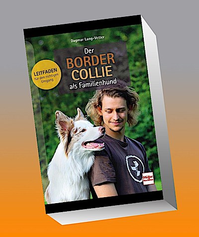 Der Border Collie als Familienhund