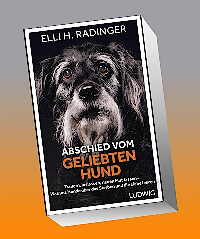 Abschied vom geliebten Hund