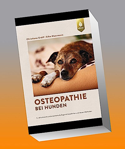 Osteopathie bei Hunden